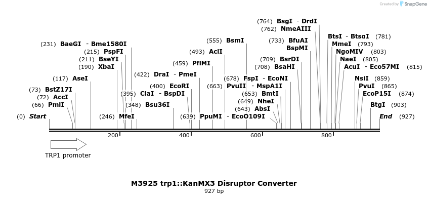 81449_map