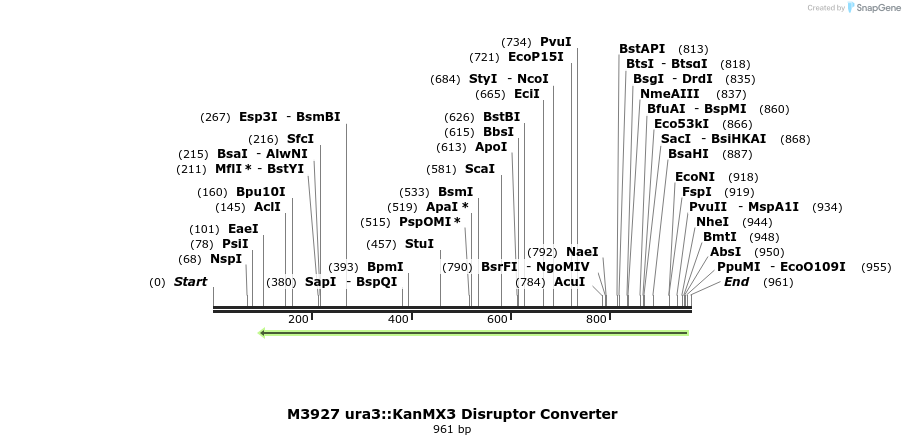 81450_map