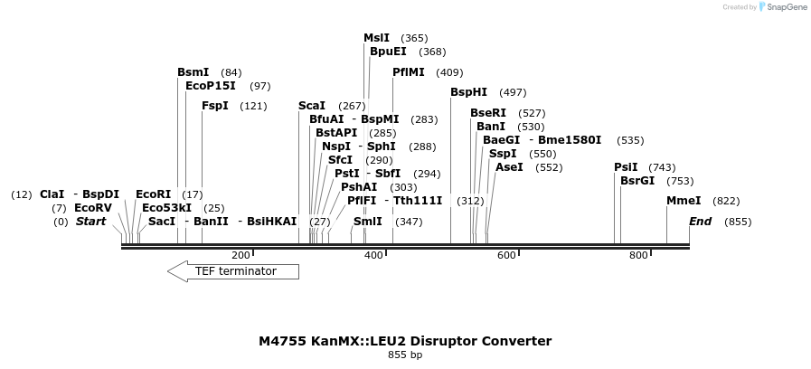 81454_map