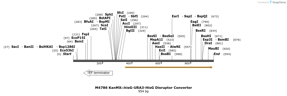 81460_map