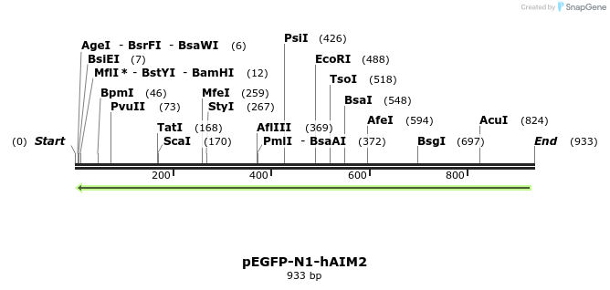 81461_map