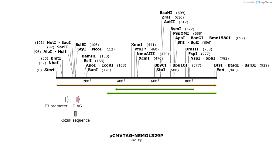 81469_map