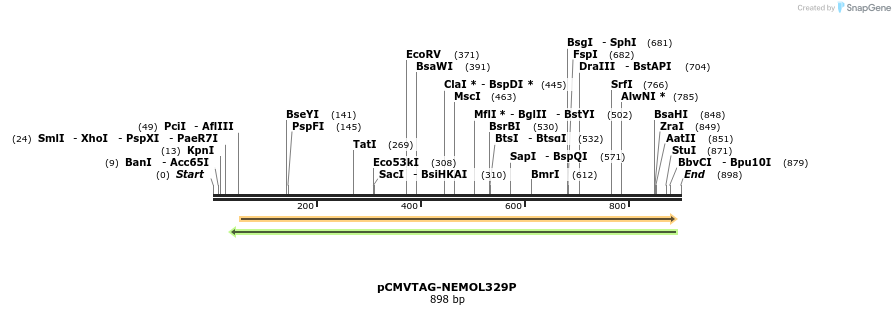 81472_map