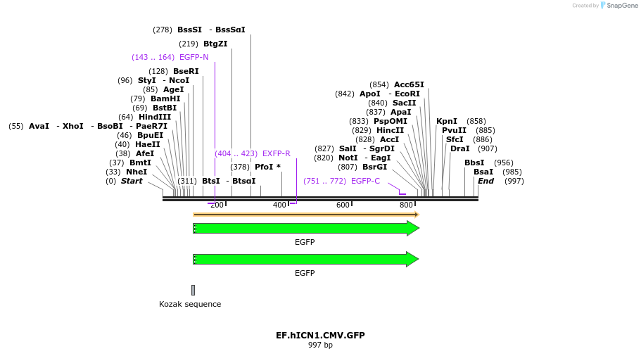 81475_map