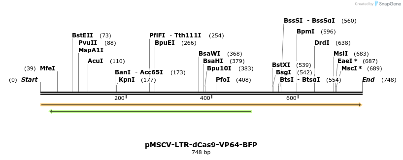 81484_map