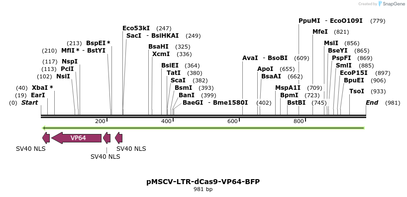 81485_map