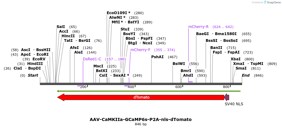 81503_map