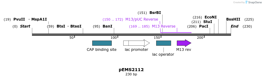 81506_map