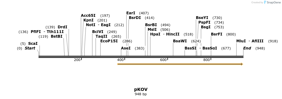 81509_map