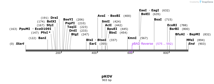 81510_map