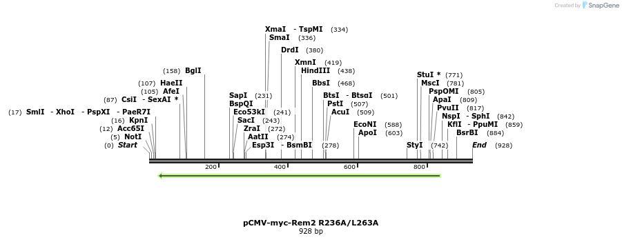 81511_map