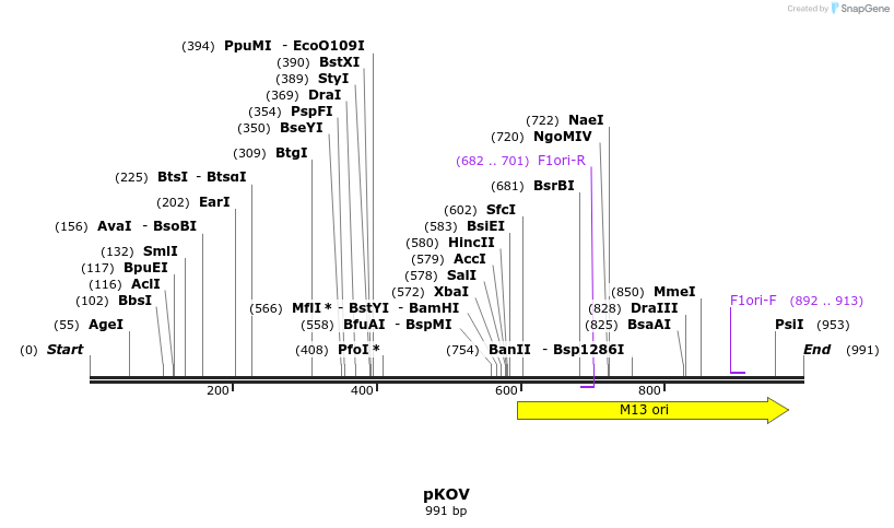 81512_map