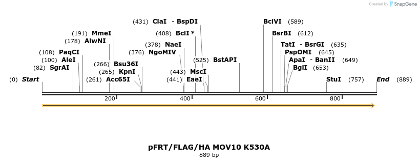 81513_map