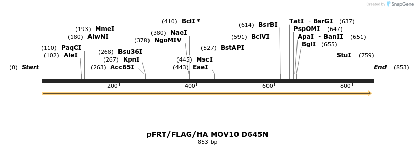 81514_map