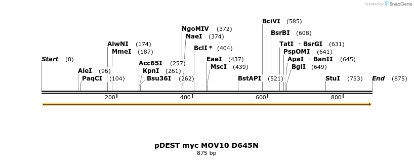 81515_map