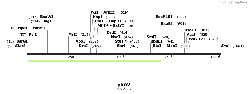 81516_map