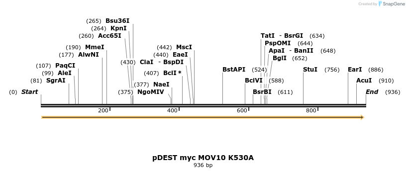 81518_map
