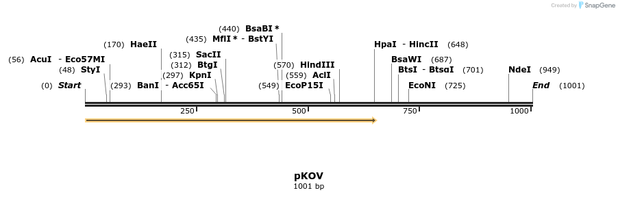 81519_map