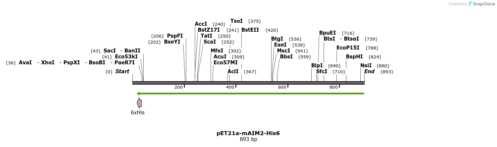81520_map