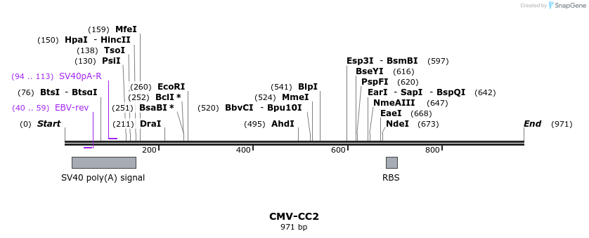 81521_map