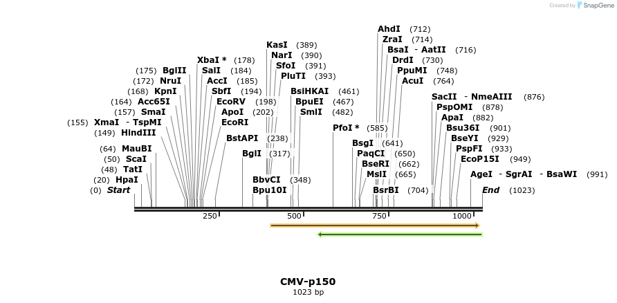 81525_map