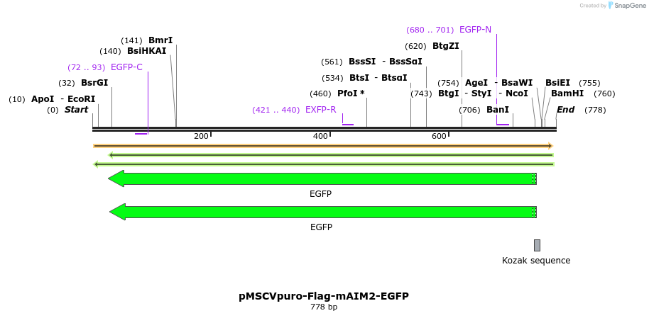 81527_map