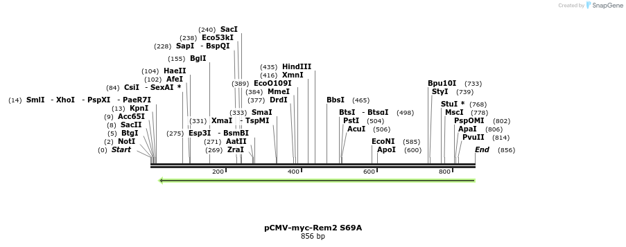 81536_map