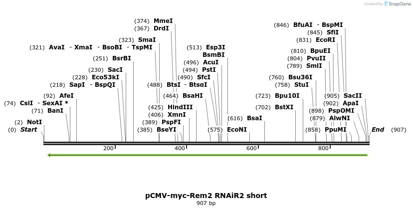 81539_map