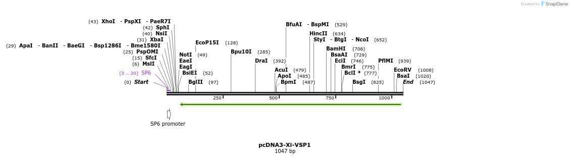 81540_map