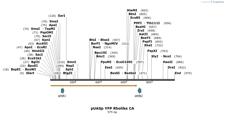 81543_map