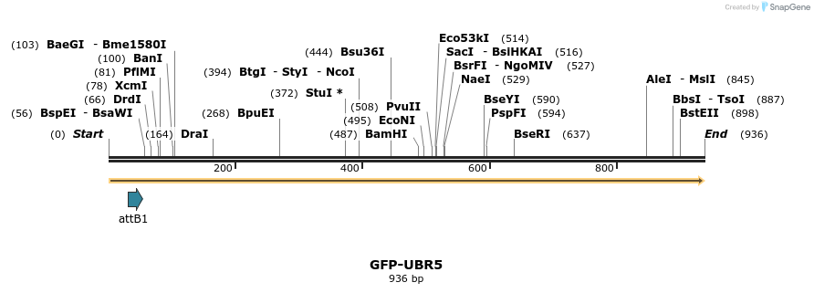 81544_map