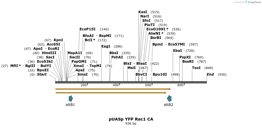 81547_map
