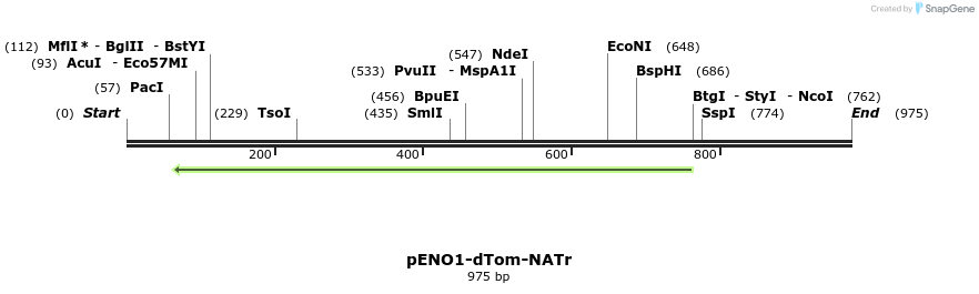 81548_map