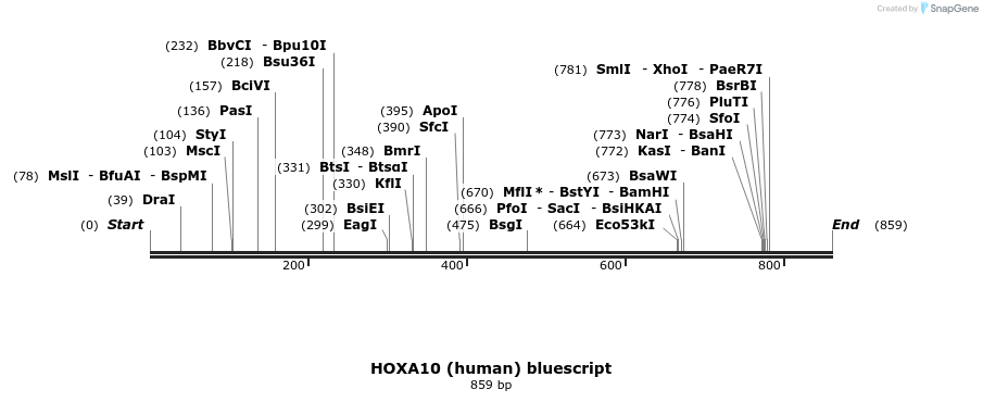 81549_map