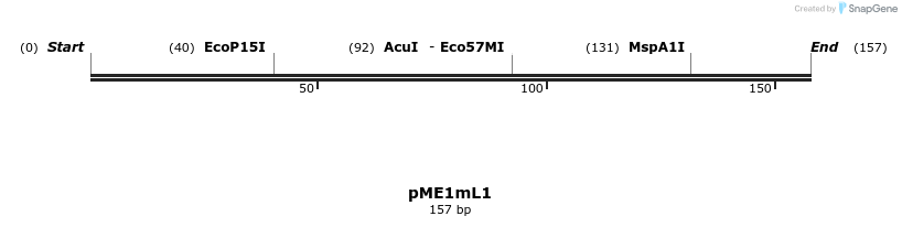 81554_map