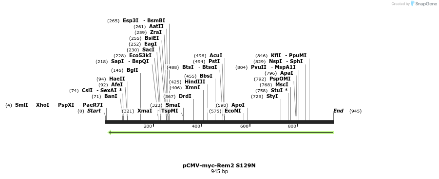 81566_map