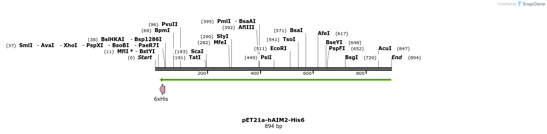 81570_map