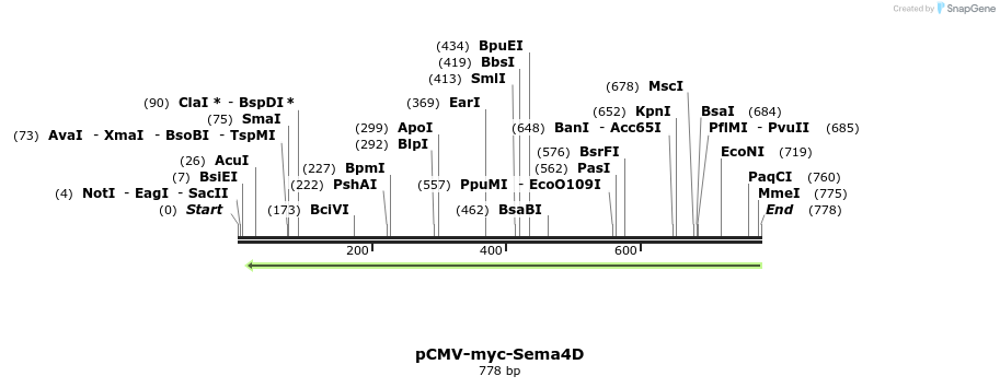 81576_map