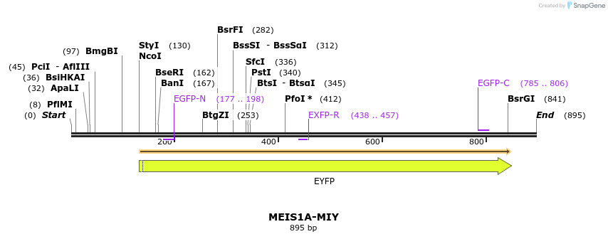 81579_map