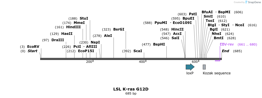 81581_map