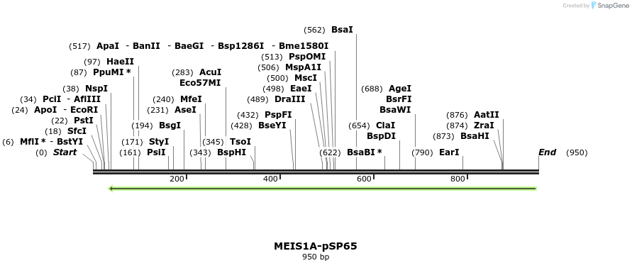81582_map