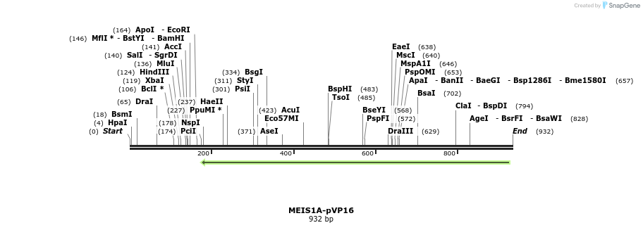 81583_map