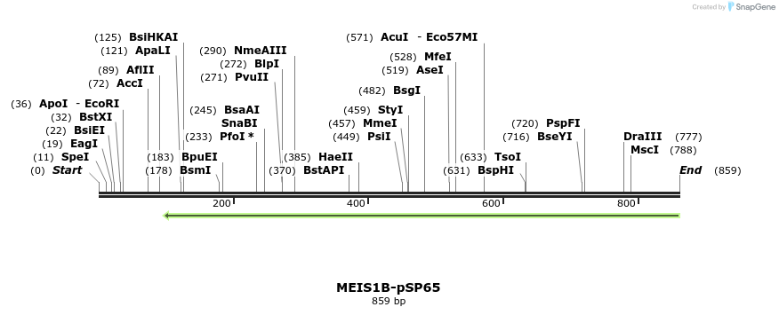81584_map