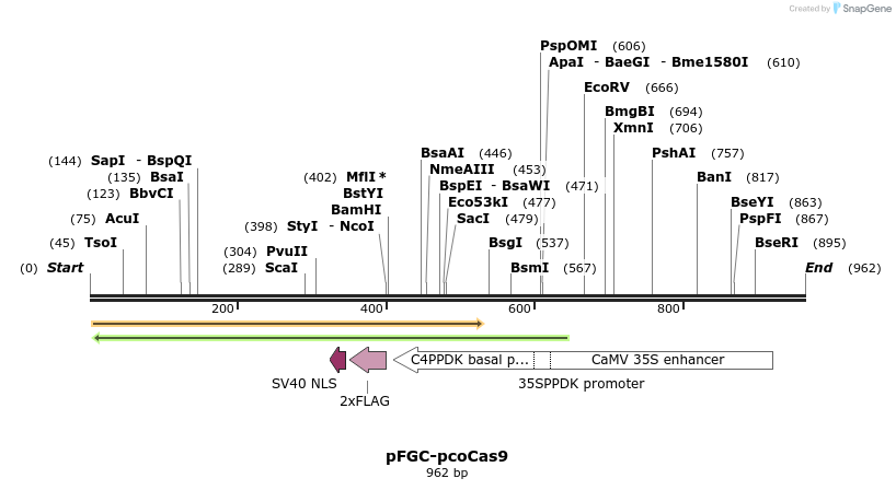 81585_map