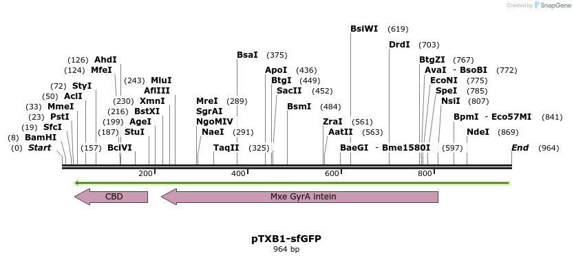 81586_map