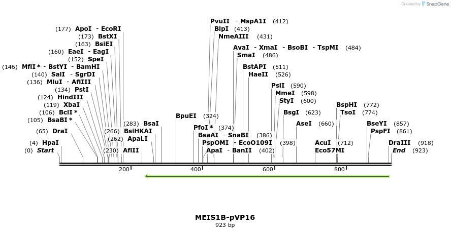 81587_map