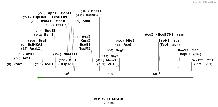 81588_map