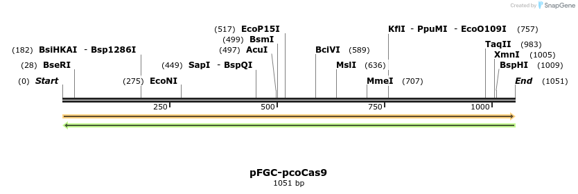 81589_map