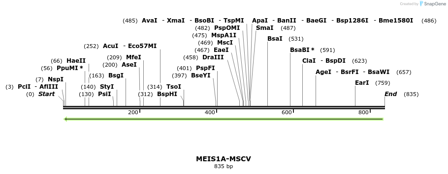 81591_map