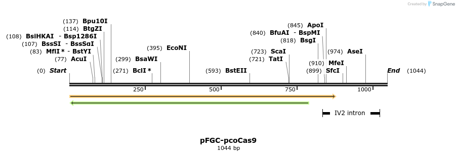 81593_map